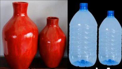 Como transformar galões em lindos vasos decorativos gastando pouco