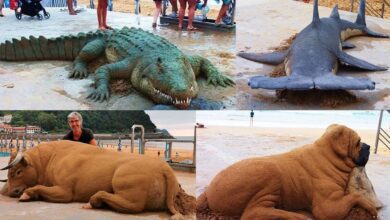 cuatro de los trabajos del artista plasttico rnefoegagbfklhnuze4ziizu44