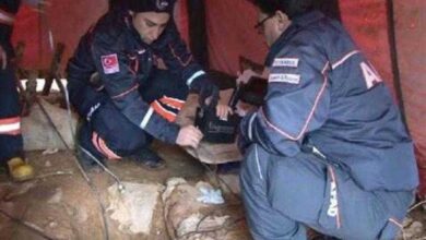 Depois de ouvir gemidos por 11 dias, retiraram um filhote de cachorro de um poço de 70 metros