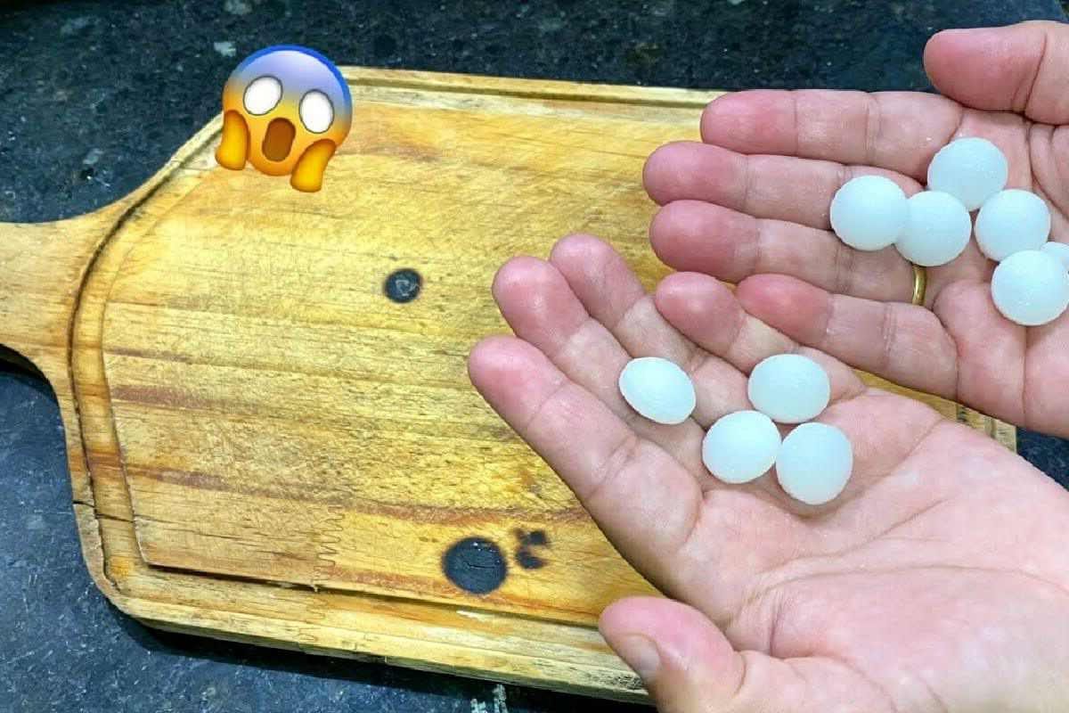 dica de como espantar moscas e baratas