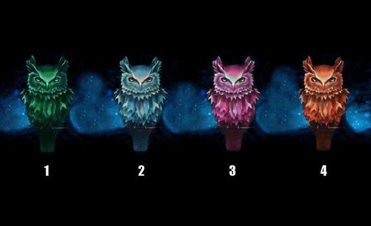 escolha uma coruja e receba um conselho de vida