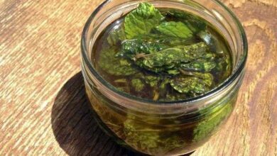 Extrato de hortelã: cura resfriados, cólicas, enxaqueca e ainda emagrece