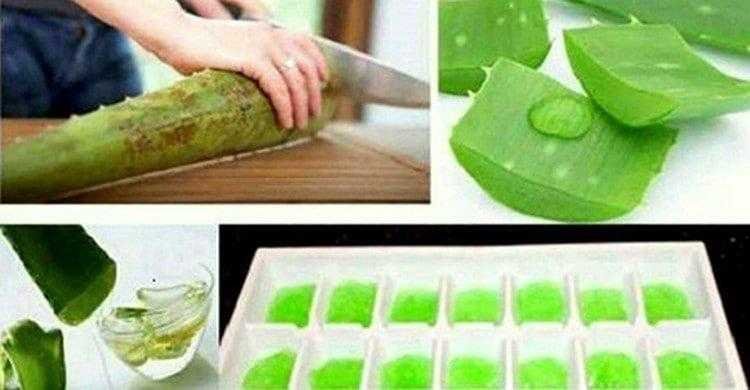 Gelo de babosa limpa, amacia e rejuvenesce a pele e combate rugas, acne e espinhas