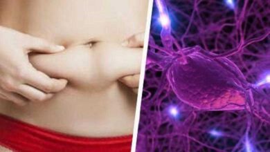 Hormônio pode ser a razão de você não perder peso