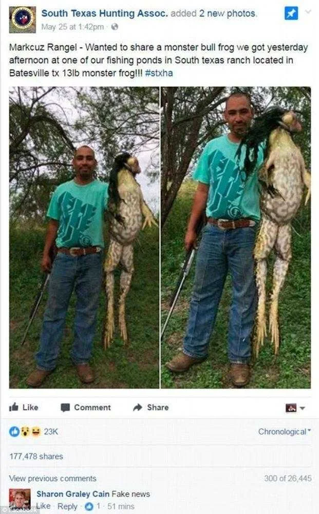 imagem de sapo gigantesco viraliza e internautas querem saber se Imagem de sapo gigantesco viraliza e internautas querem saber se é real!