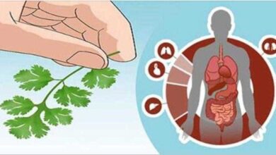 Limpe rapidamente os seus rins-fígado e pâncreas
