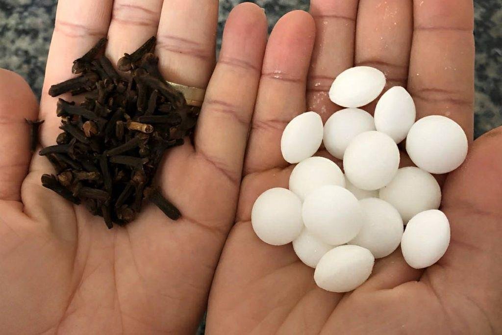 misturei 2 produtos que tinha no armario e acabei com Dica para acabar com formigas