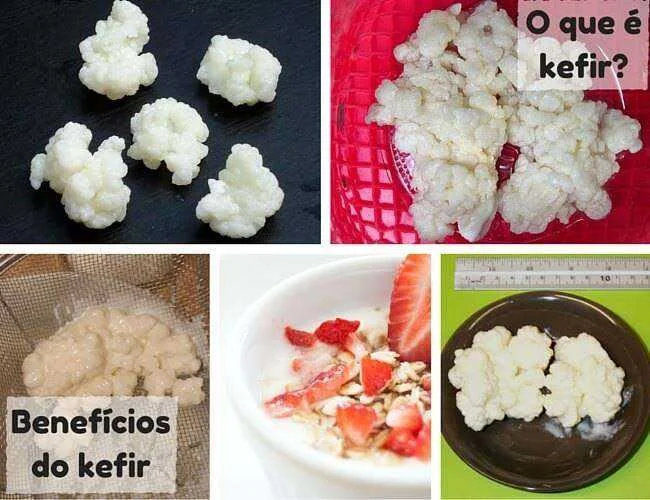 o que e kefir beneficios comprovados O Que É Kefir? Benefícios Comprovados