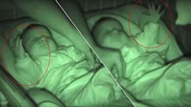 Os pais queriam ver como seu filho dormia, mas não conseguiram parar de rir