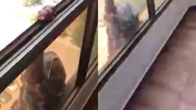 Patroa filma empregada caindo do 7º andar e não ajuda