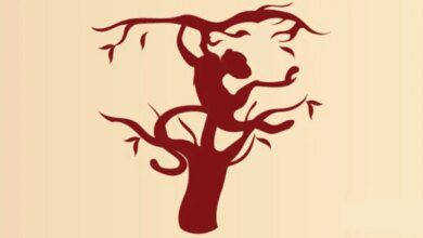 Qual é a primeira coisa que você nota nesta foto? A resposta revela algo interessante sobre você!