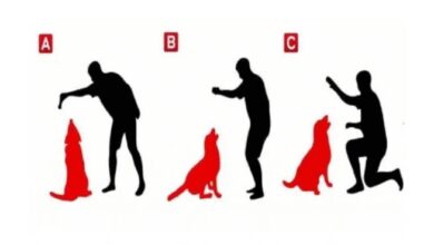 Quem é o dono do cachorro? Teste suas habilidades neste teste de personalidade