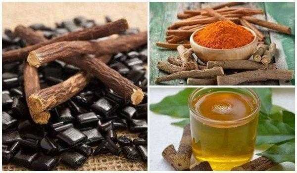 Raiz poderosa tira a fome e combate o excesso de peso