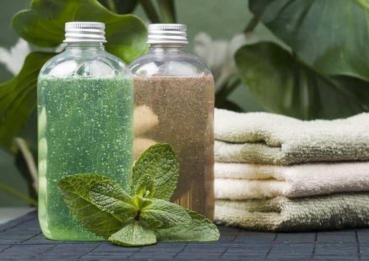 Receita Caseira de Shampoo de Hortelã