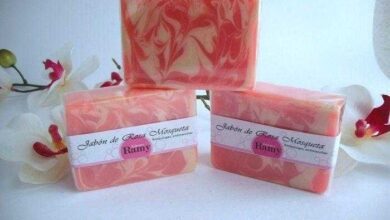 Receita de sabonete caseiro de rosa mosqueta e aloé vera 01