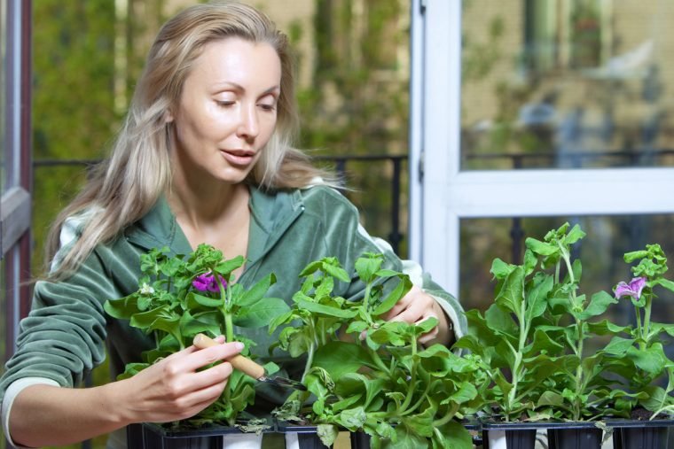 se voce conversa com o seu cao ou suas plantas