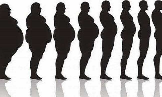 sumo de beringela e gengibre elimina ate 3 kg em Sumo de beringela e gengibre