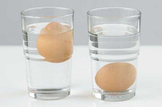 truque infalivel para saber se os seus ovos estao bons Truque infalível para saber se os seus ovos estão bons para consumo