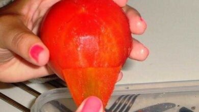 Truque para tirar a pele do tomate de forma rápida e eficaz!