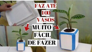 Vaso De Cimento Feito Com Bandeja De Isopor