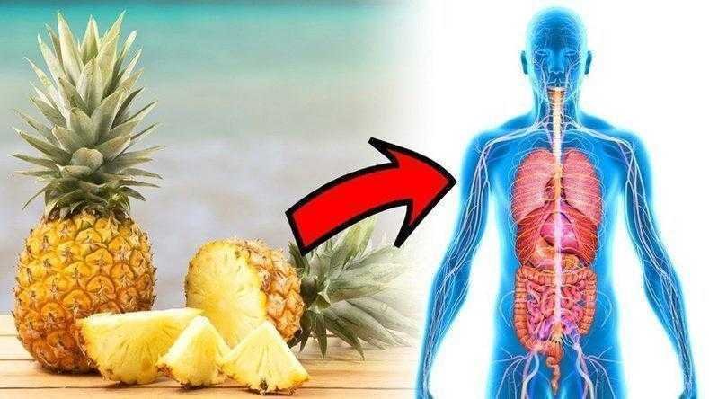veja o que acontece no seu corpo quando voce come Veja o que acontece no seu corpo quando você come abacaxi todos os dias