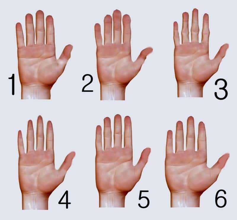 veja o que formato da sua mao diz sobre voce Veja-o-que-formato-da-sua-mão-diz-sobre-você