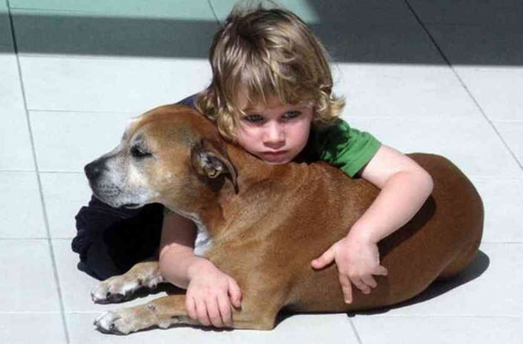 veterinario sedou cao com cancer – as ultimas palavras do