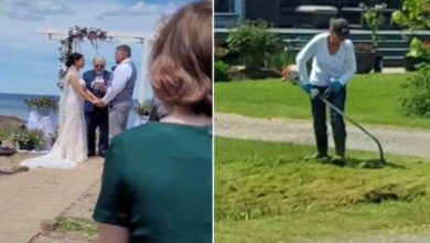 Vizinha corta grama durante casamento e atrapalha cerimônia: 'infeliz'