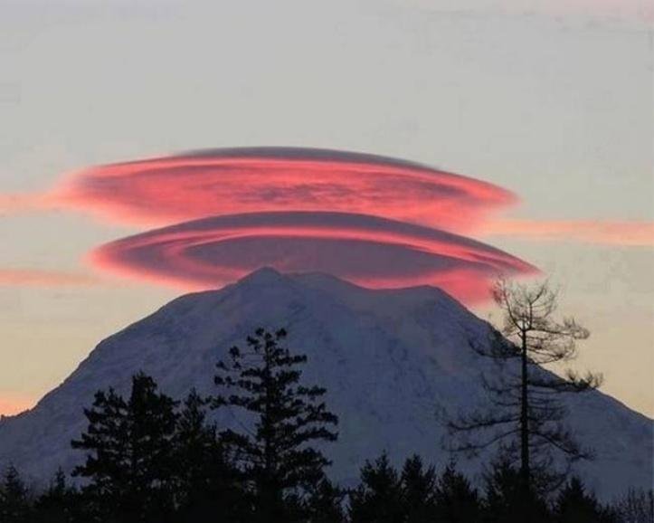 13 vezes que a natureza mostrou estar realmente confusa 13 vezes que a natureza mostrou estar realmente confusa
