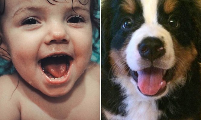 15 fotos que comprovam que os animais podem sentir emocoes.j Foto: © Larisa Pichko / © jayjaaaaaaaay