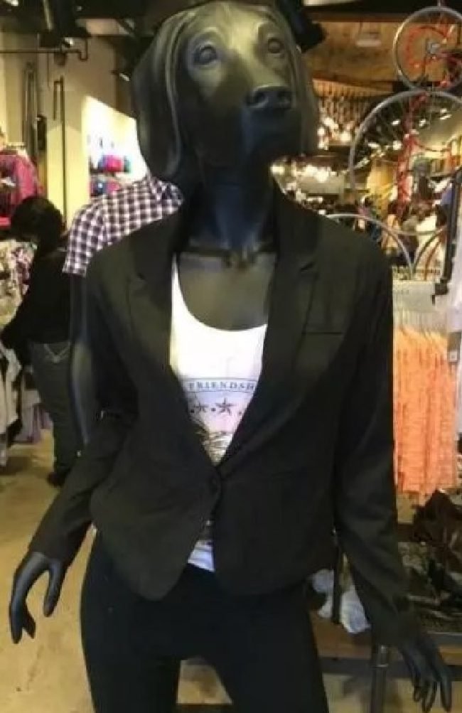 16 manequins que tentaram lancar um novo padrao de beleza 16 Manequins que tentaram lancar um novo padrao de beleza