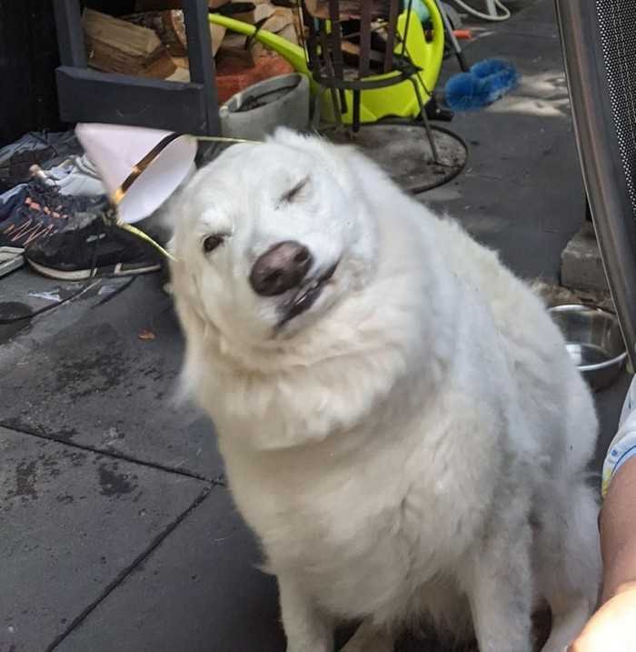 17 Fotos tiradas no momento em que o caos esta