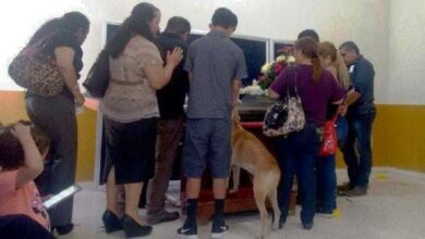 Cão Anda 8 Quilômetros Para Se Despedir De Sua Dona Que Morreu De Câncer