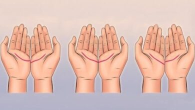 Olhe para as linhas de união de suas mãos e descubra seu futuro amoroso – Bau das DICAS