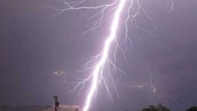 20 coisas únicas, que poucas pessoas tiveram a oportunidade de ver na vida – Bau das DICAS