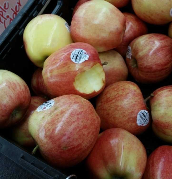 1751342947 425 23 fotos de pessoas que definitivamente nao tem nenhuma vergonha 1626130153 276 23 fotos absurdas de pessoas que definitivamente nao tem nenhuma