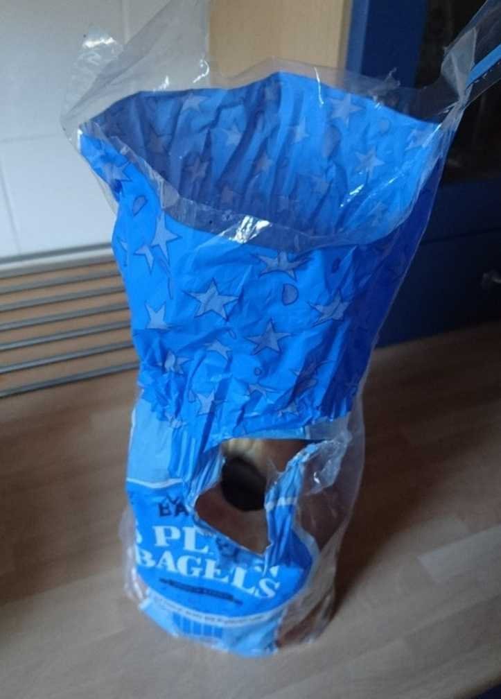 1751342948 17 23 fotos de pessoas que definitivamente nao tem nenhuma vergonha 1626130153 70 23 fotos absurdas de pessoas que definitivamente nao tem nenhuma