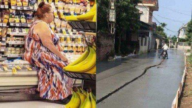 23 fotos de pessoas que definitivamente não tem nenhuma vergonha