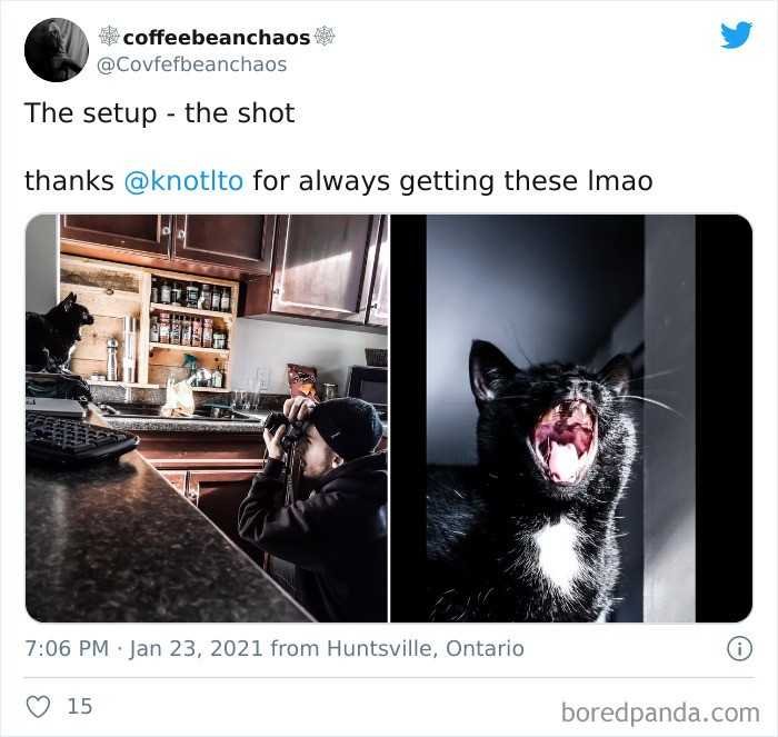 1623288005 557 23 Imagens surpreendentes que mostram que e possivel tirar otimas