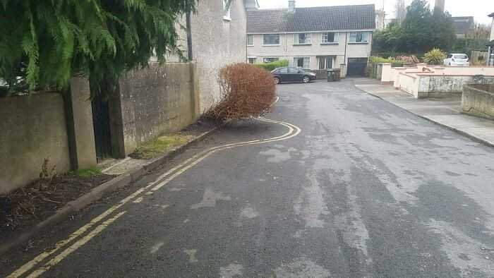 1625548871 126 21 Trabalhos feitos de forma preguicosa que deram muito errado
