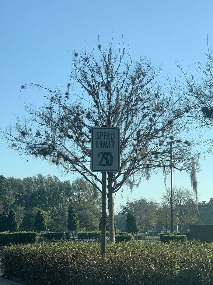 1625548876 20 21 Trabalhos feitos de forma preguicosa que deram muito errado