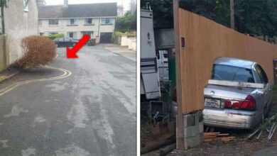 1751344375 21 trabalhos feitos de forma preguicosa que deram bem errado 1625548877 528 21 Trabalhos feitos de forma preguicosa que deram muito errado