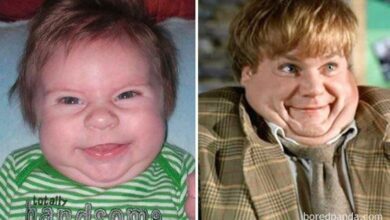 1576436629 662 30 bebes que se parecem bastante com estas celebridades