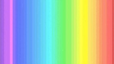 Quantas cores você vê? 1 em 4 pessoas enxergam todas as cores!