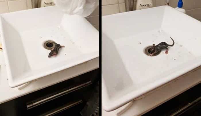 1751386748 15 25 momentos que as fotos mostraram a face da verdadeira 1595712664 519 25 momentos que as fotos mostraram a face da verdadeira