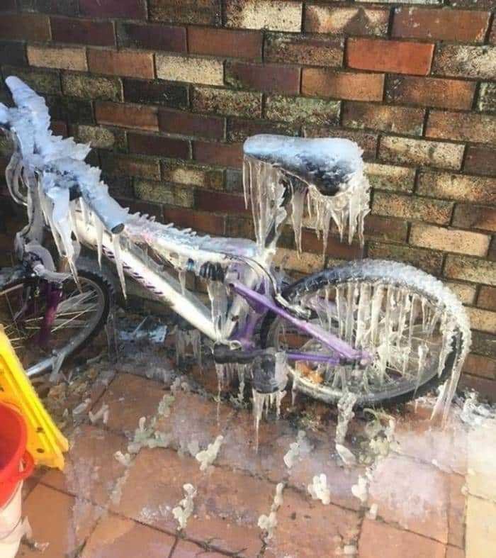 1751386748 202 25 momentos que as fotos mostraram a face da verdadeira 1595712665 203 25 momentos que as fotos mostraram a face da verdadeira