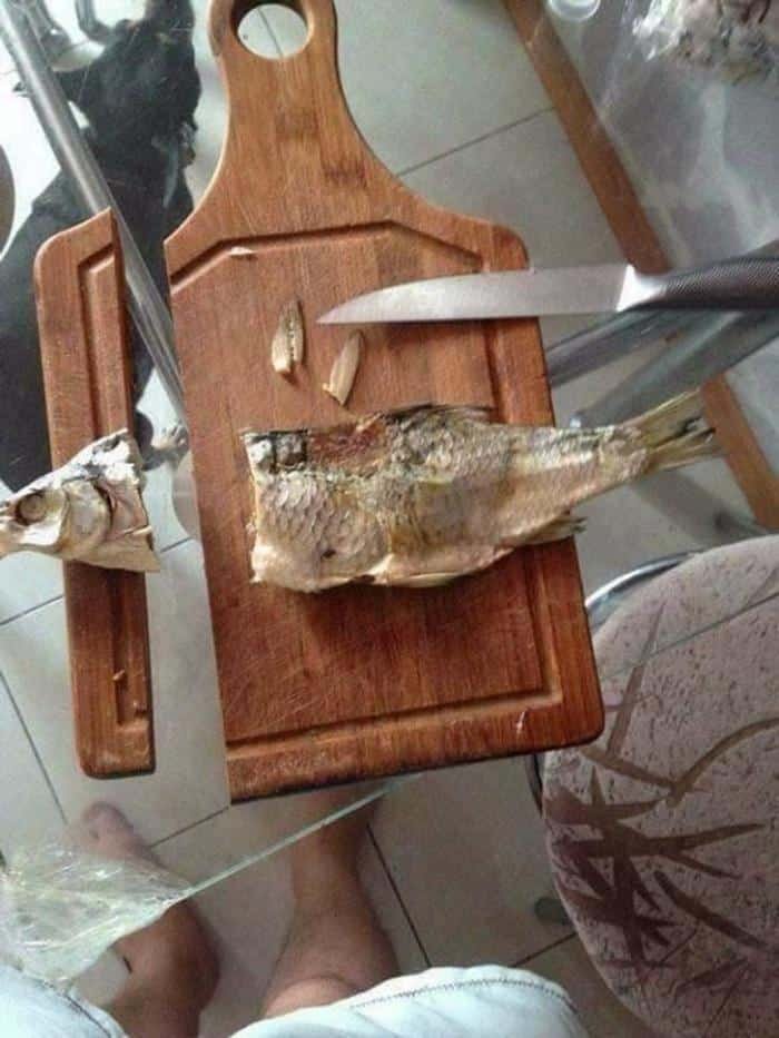 1751386751 388 25 momentos que as fotos mostraram a face da verdadeira 1595712674 817 25 momentos que as fotos mostraram a face da verdadeira