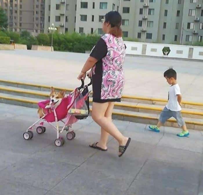 1751386751 557 25 momentos que as fotos mostraram a face da verdadeira 1595712673 834 25 momentos que as fotos mostraram a face da verdadeira