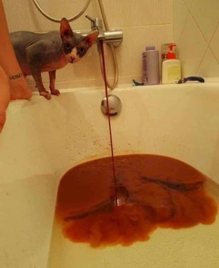 1751386762 309 25 momentos que as fotos mostraram a face da verdadeira 1595712683 667 25 momentos que as fotos mostraram a face da verdadeira