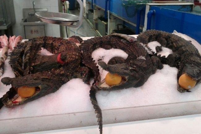 1640926107 158 14 Coisas bizarras para nos mas que sao comuns na